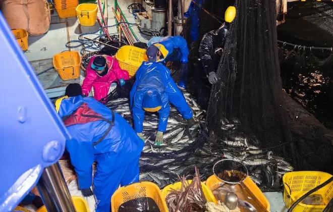 「大海を制する者、それが漁師」